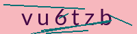 PHP Captcha für Piwigo